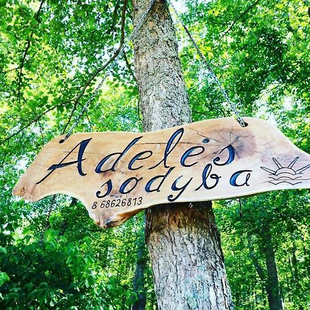 Namelis Nr 2 Adeles Sodyba Muize Dış mekan fotoğraf