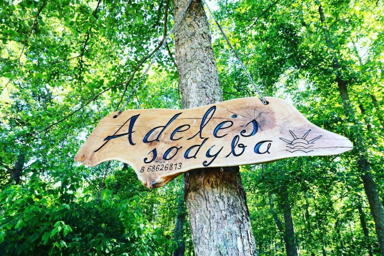 Namelis Nr 2 Adeles Sodyba Muize Dış mekan fotoğraf