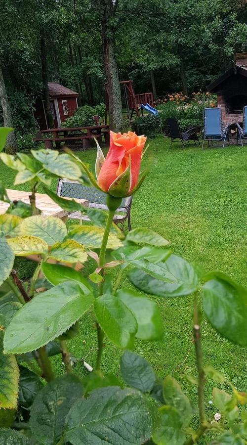 Namelis Nr 2 Adeles Sodyba Muize Dış mekan fotoğraf